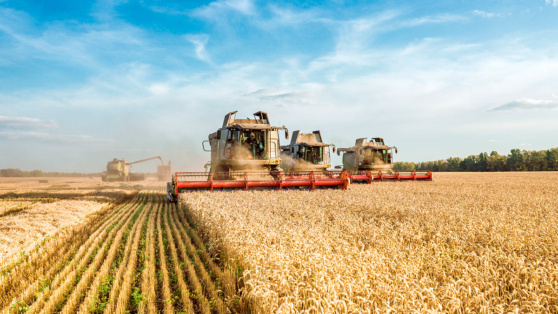    На льготные кредиты аграриям направят более 42 млрд рублей в России Роман Захаров