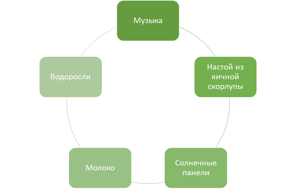 10 необычных способов ухода за рассадой томатов