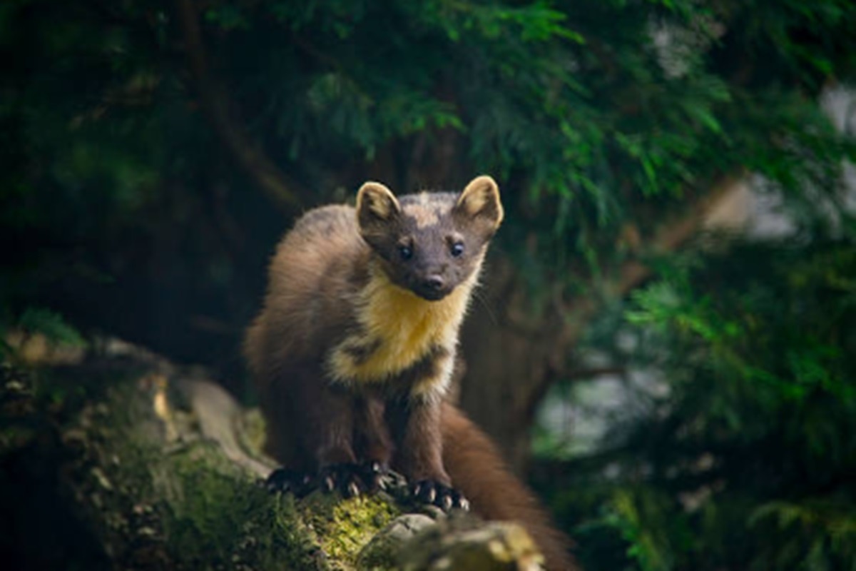 Фото: istockphoto.com
