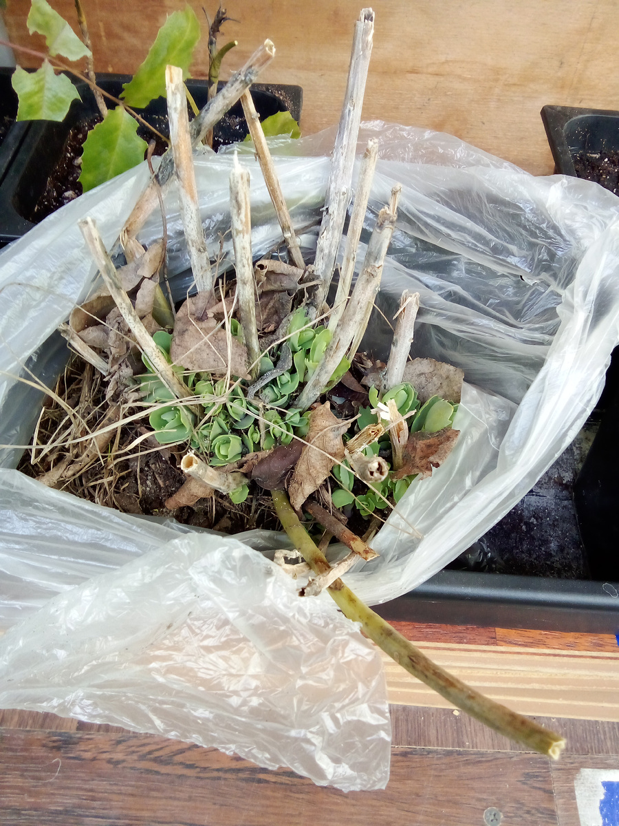 В статье все фото авторские. Та самая куртина