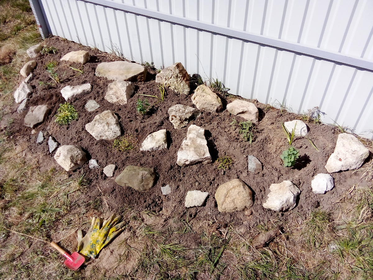 Моя первая в жизни клумба - Альпийская, весна 2023 года