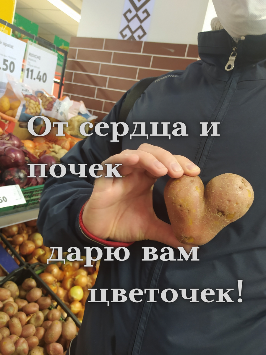 Молдавская картошка умеет удивить 😂