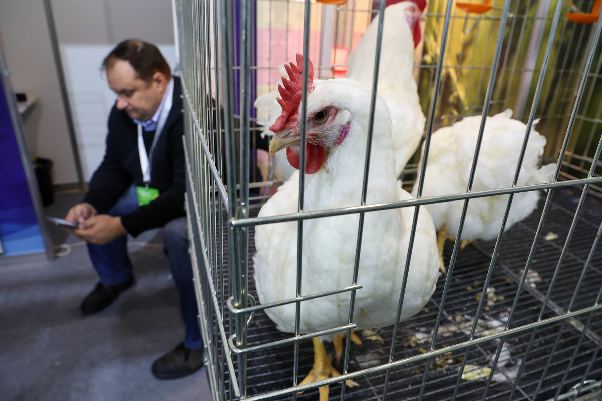 Фото: © Belkin Alexey/ news.ru/ Global Look Press