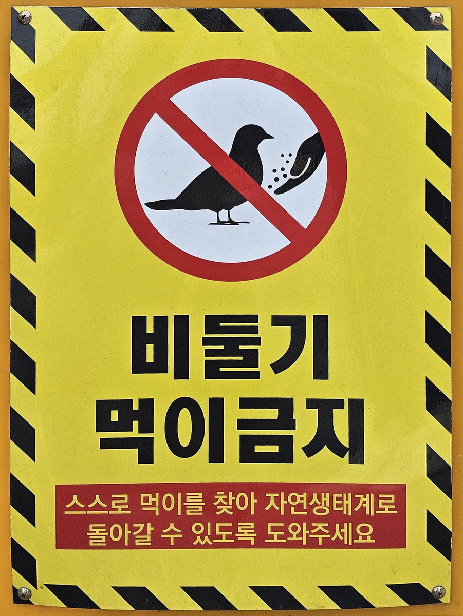 Надпись на запрещающей кормление птиц табличке гласит примерно следующее: "Голубей не кормить. Они должны самостоятельно добывать себе пищу и стать частью экосистемы". Фото из личного архива