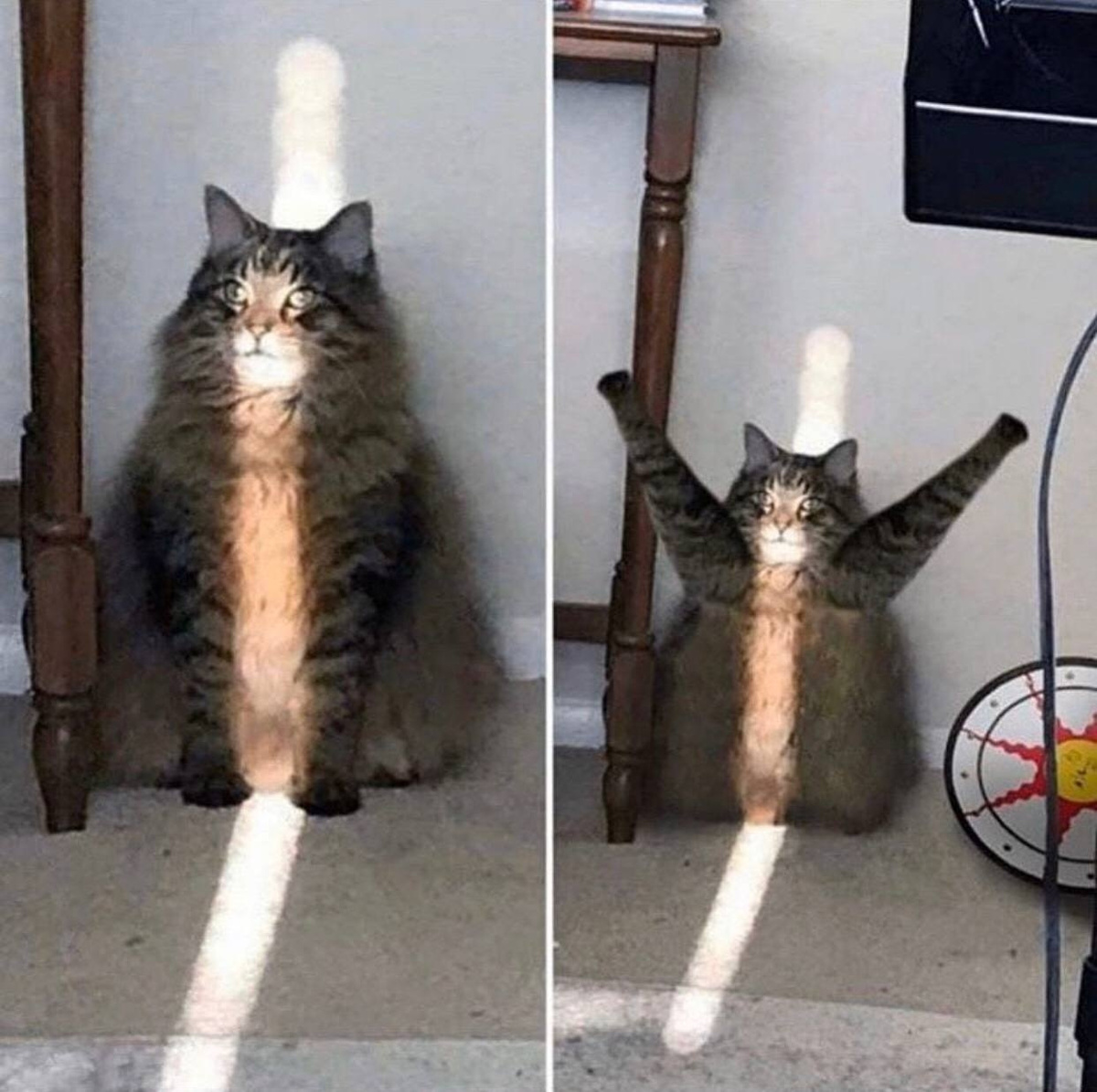 Этот луч будет ходить за тобой по пятам на протяжении всего дня:)