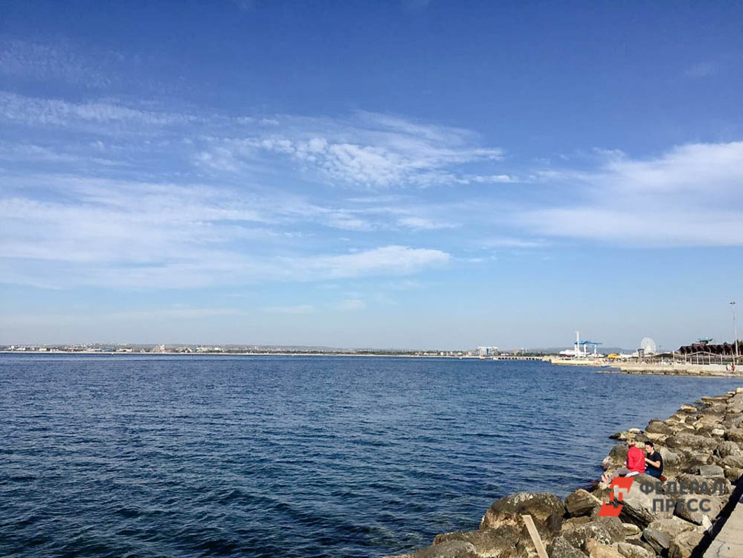 Среди добровольцев - студентки ветеринарной академии.  Фото: ФедералПресс / Андрей Гусий