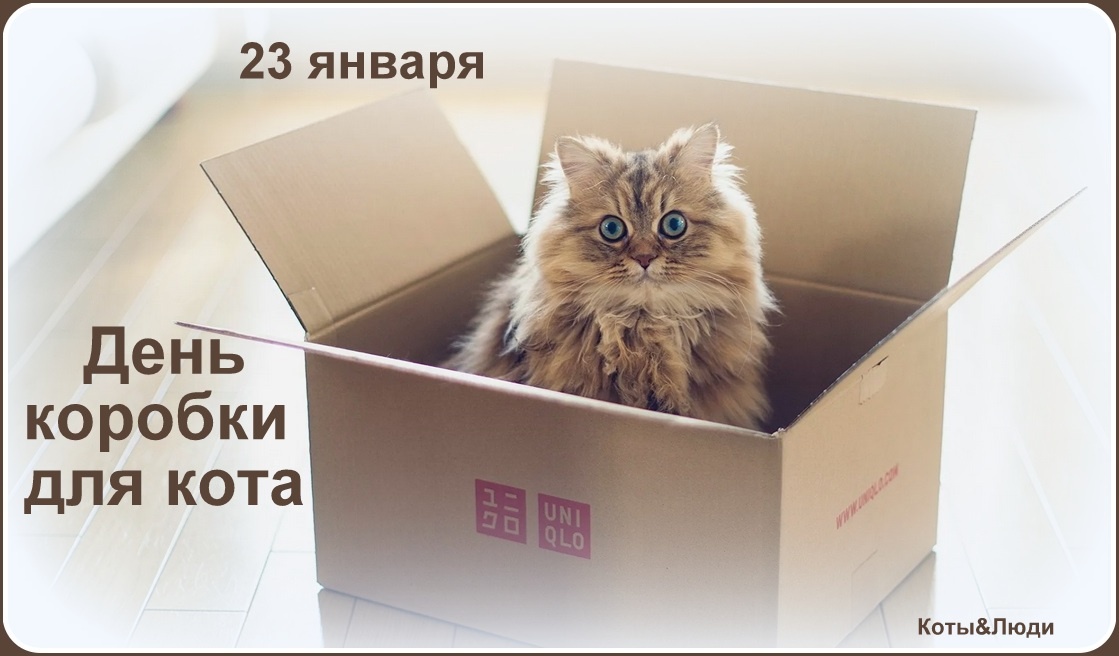 Коллаж автора