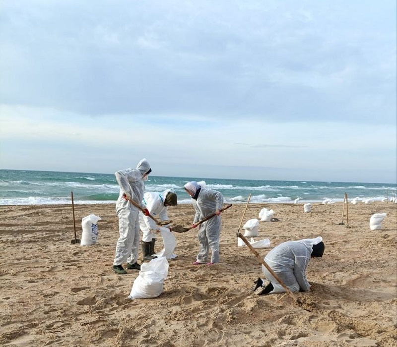    Фото: пресс-служба администрации Краснодарского края