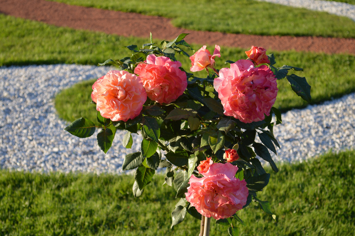 Фото из личного архива