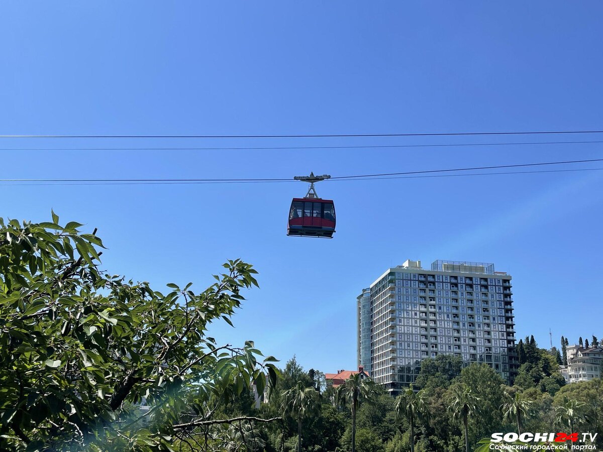 фото: Сочи 24  📷
