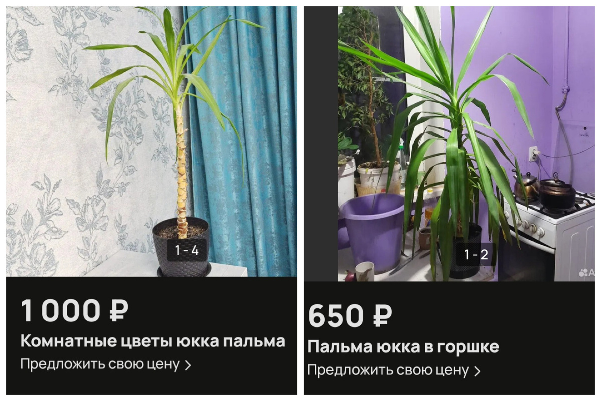 Юбка на авито