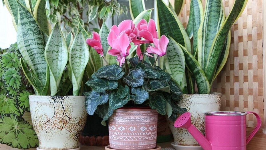 ShutterStock/Fotodom.ru