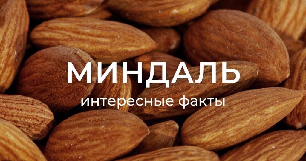 ТОП-4 факта о миндале