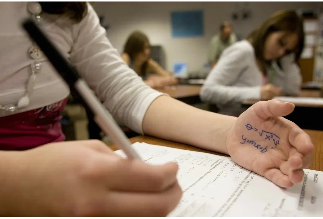 Фото из интернета.