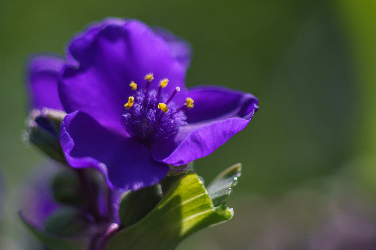 Картинка с бесплатного фотостока https://unsplash.com, автор Howard Senton