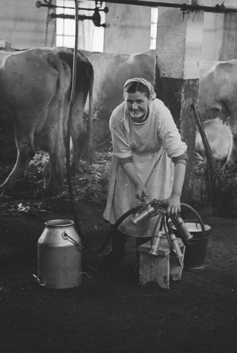 Фото Яндекс картинки