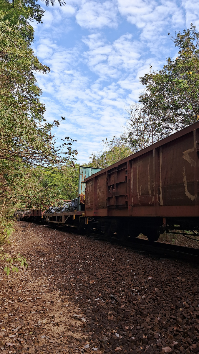 Автор фото: Юлия Кожевникова. Ж/д пути рядом с нашим лагерем. Пантанал, Бразилия