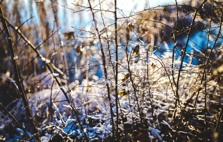 Фото: Freepik.com