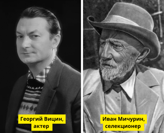  Википедия