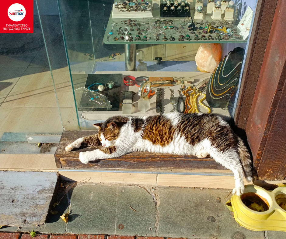 Хозяин магазина растянулся на лавочке в ожидании туристов.