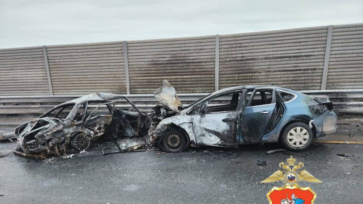    Фото: Пресс-служба ГУ МВД России по Московской области / Telegram