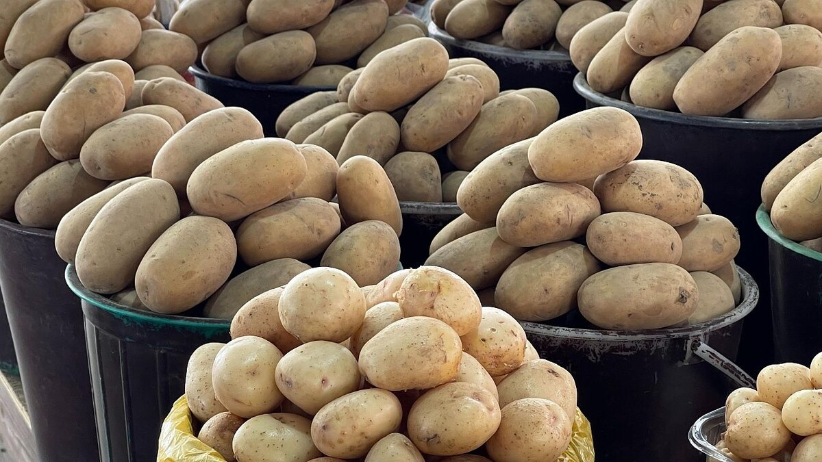    Фото: телеканал «Краснодар»