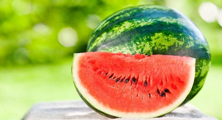    Бахчевые Волгоградской области: итоги 2024