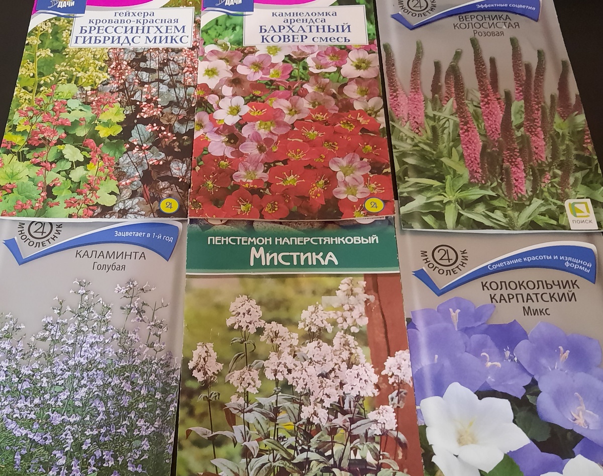 Эти 6 многолетников выращиваю через рассаду.