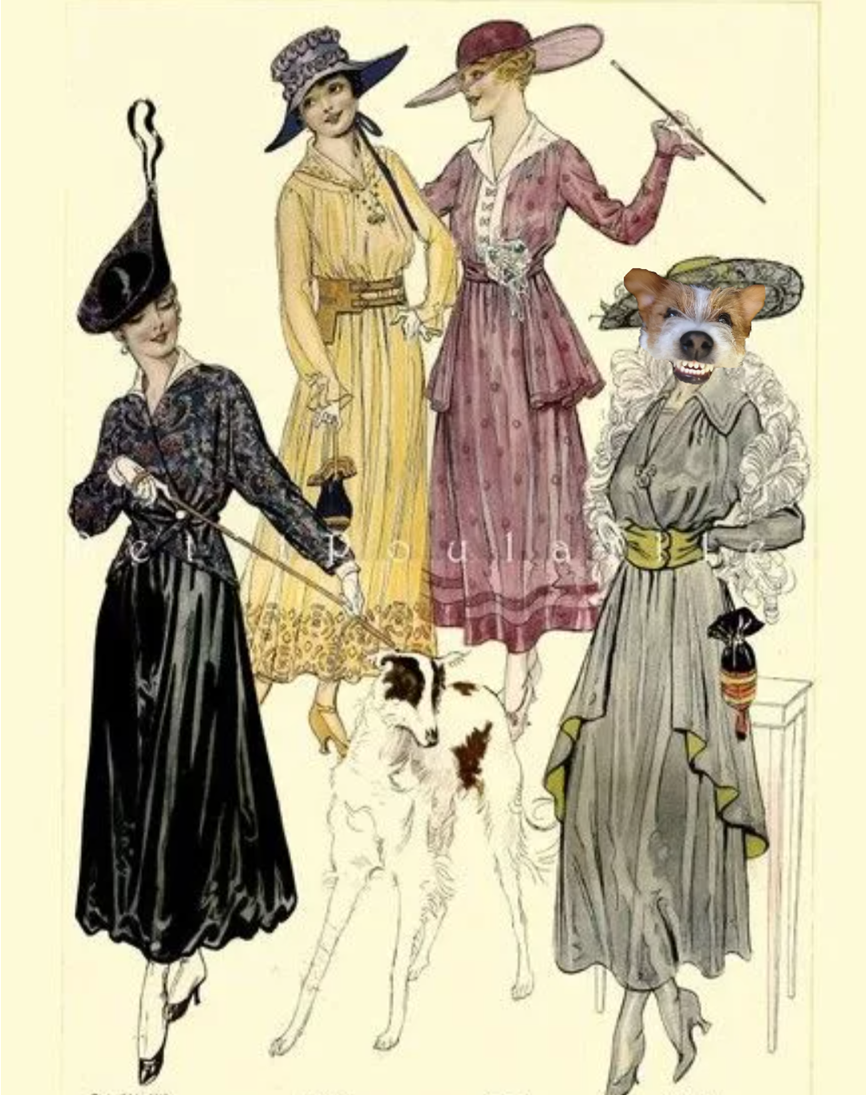 Картинка из интернета