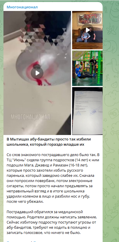 Скриншот https://t.me/mnogonazi