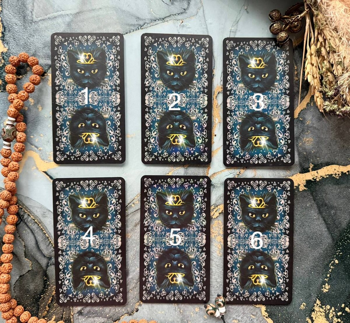 таро черных котов