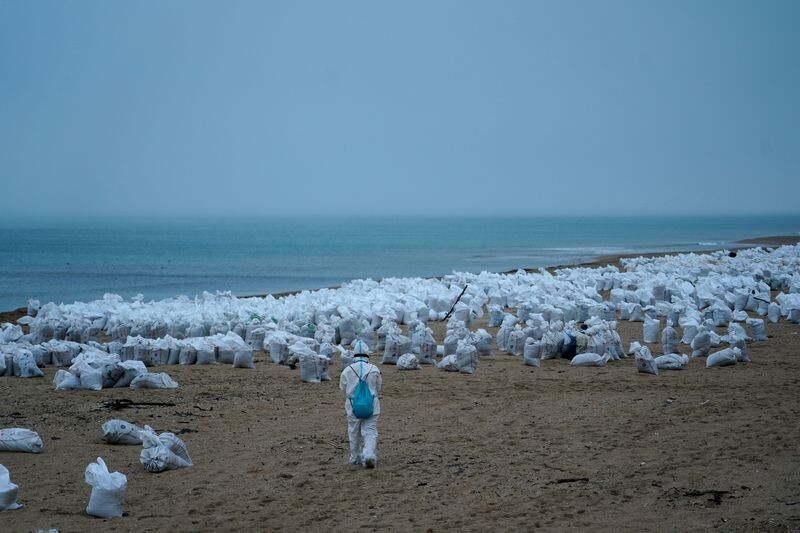     / Источник: © ИЗВЕСТИЯ/Павел Волков