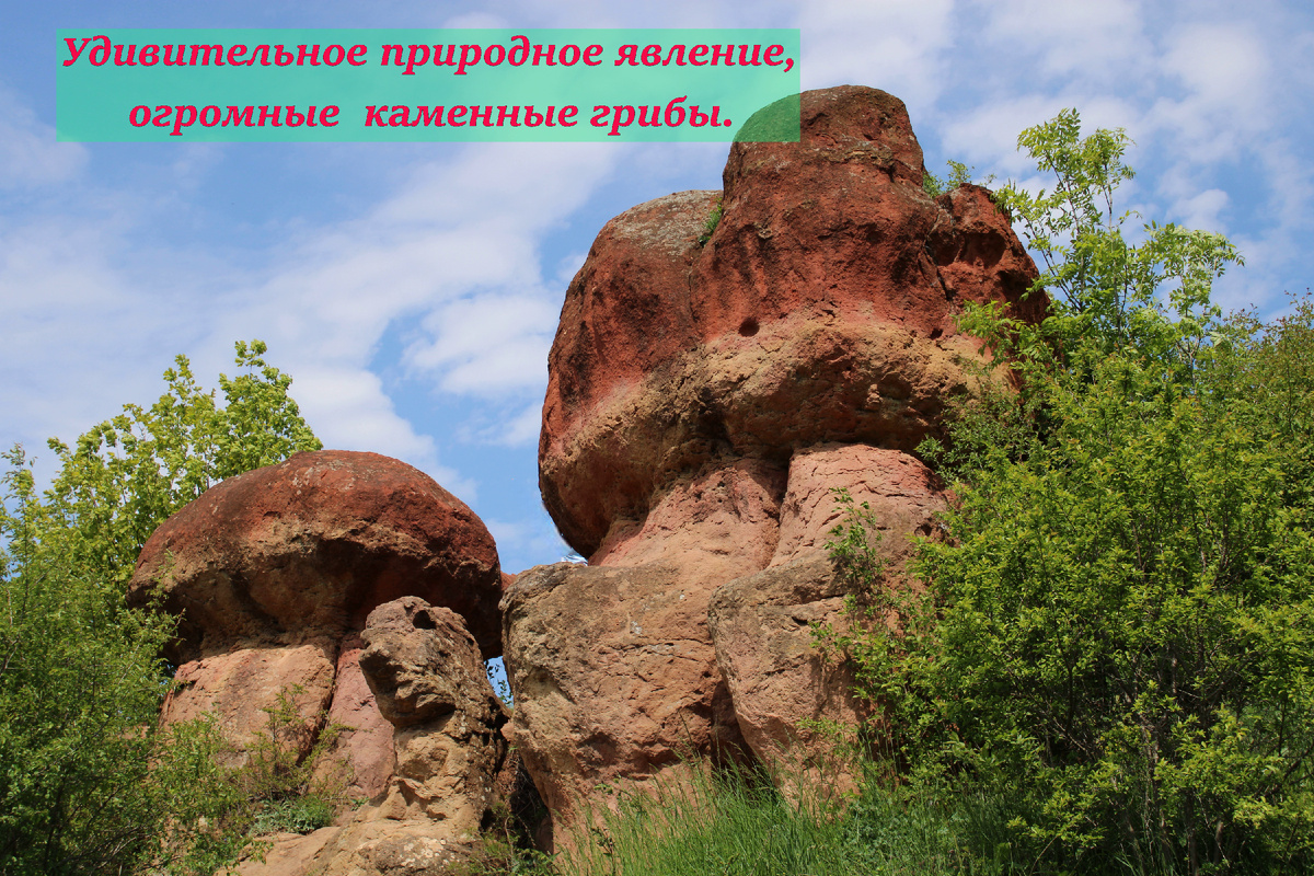 " Останцы Красные грибы"- это природная достопримечательность Кисловодского парка.