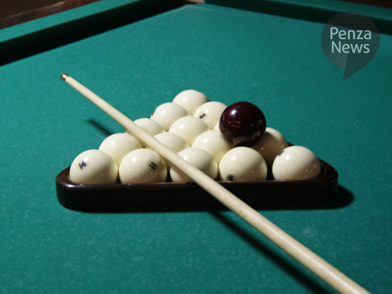    © Фото из архива ИА «PenzaNews»