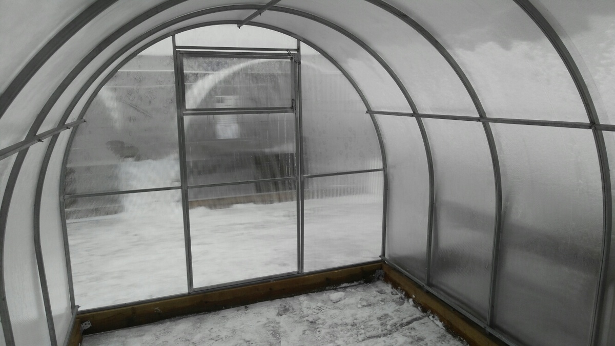 Фото из интернета