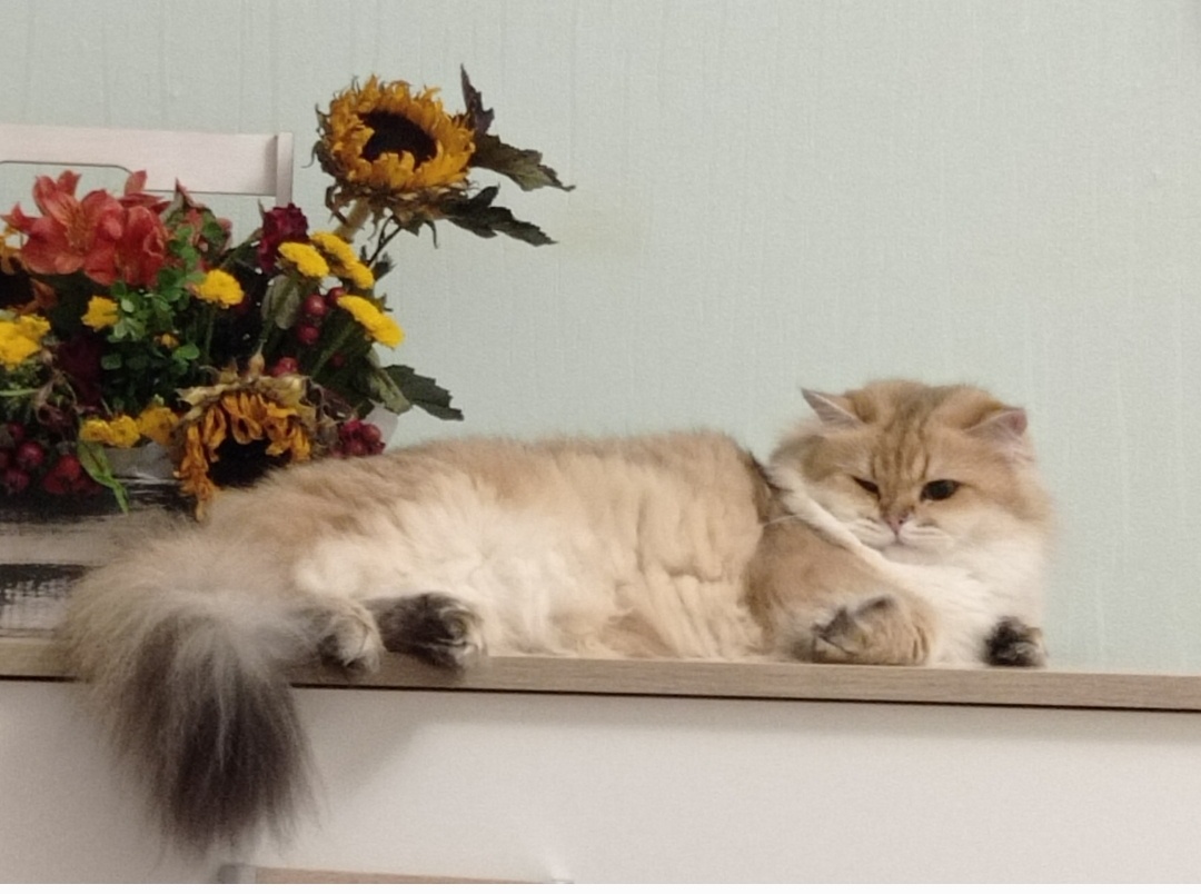 Настоящая женщина