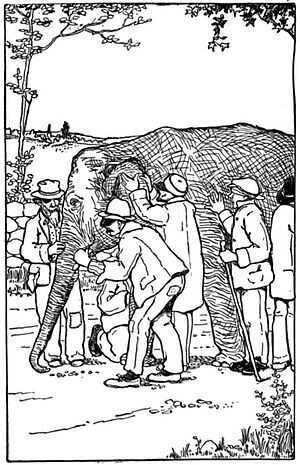 Картинка из Википедии. Blind men and an elephant