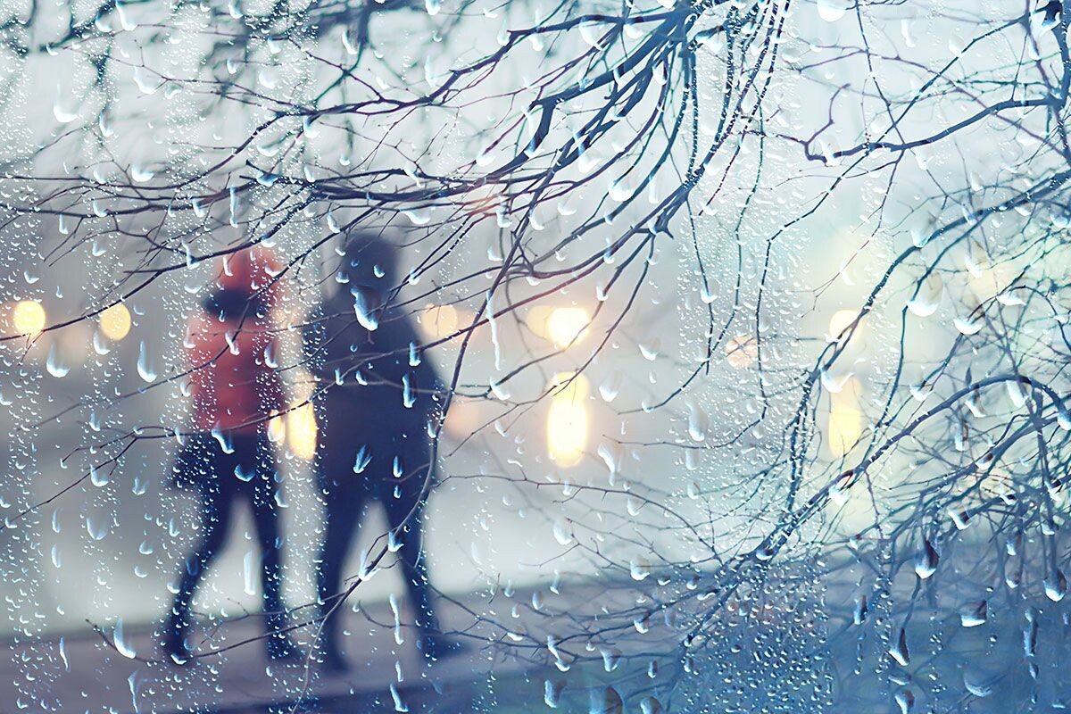    Фото: Kichigin / Shutterstock.com