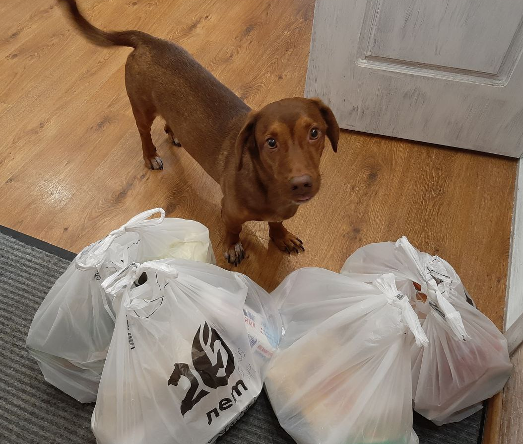 Фото автора, это Чарли уже эмоции выразил и пришел нюхать что же привезли