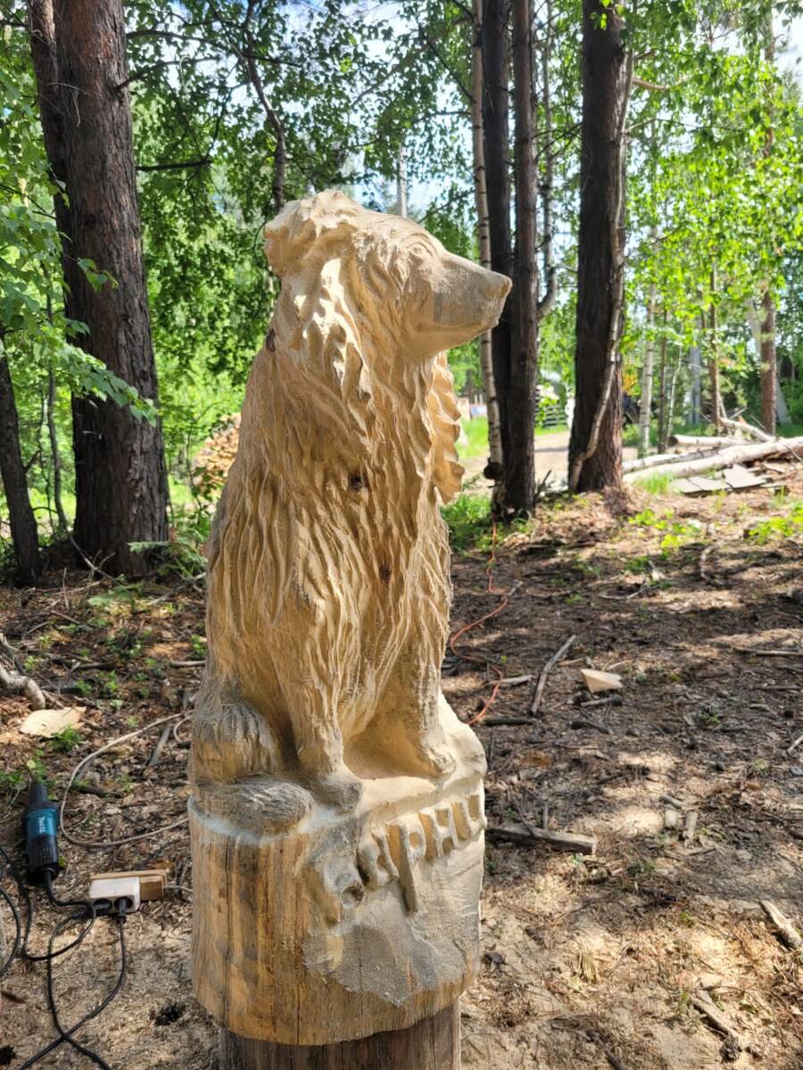 Июнь 2022г. Барни.