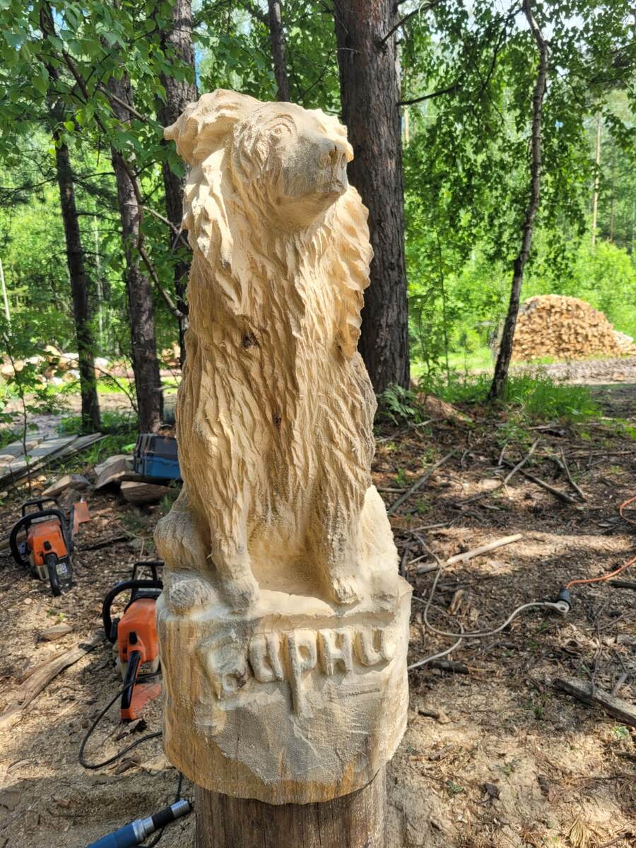 Июнь 2022г. Барни.