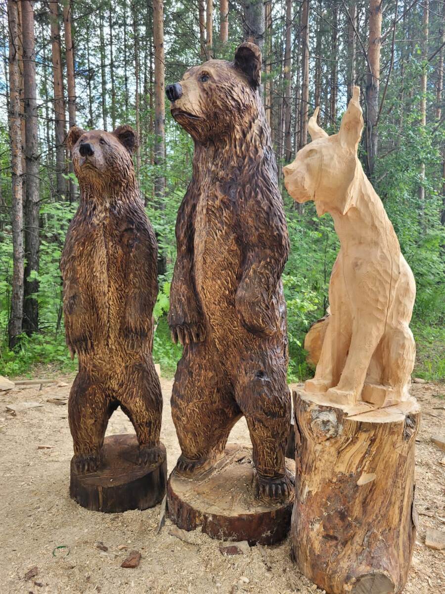 Июнь 2022г. крайняя неделя месяца.