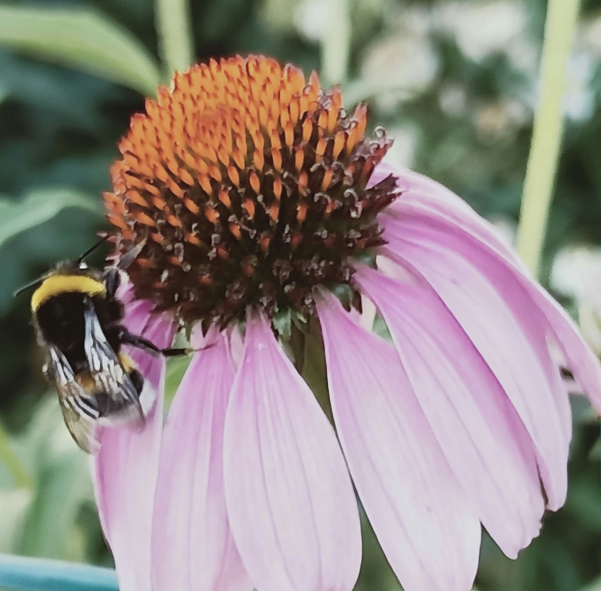 Работают даже при +5 градусов.