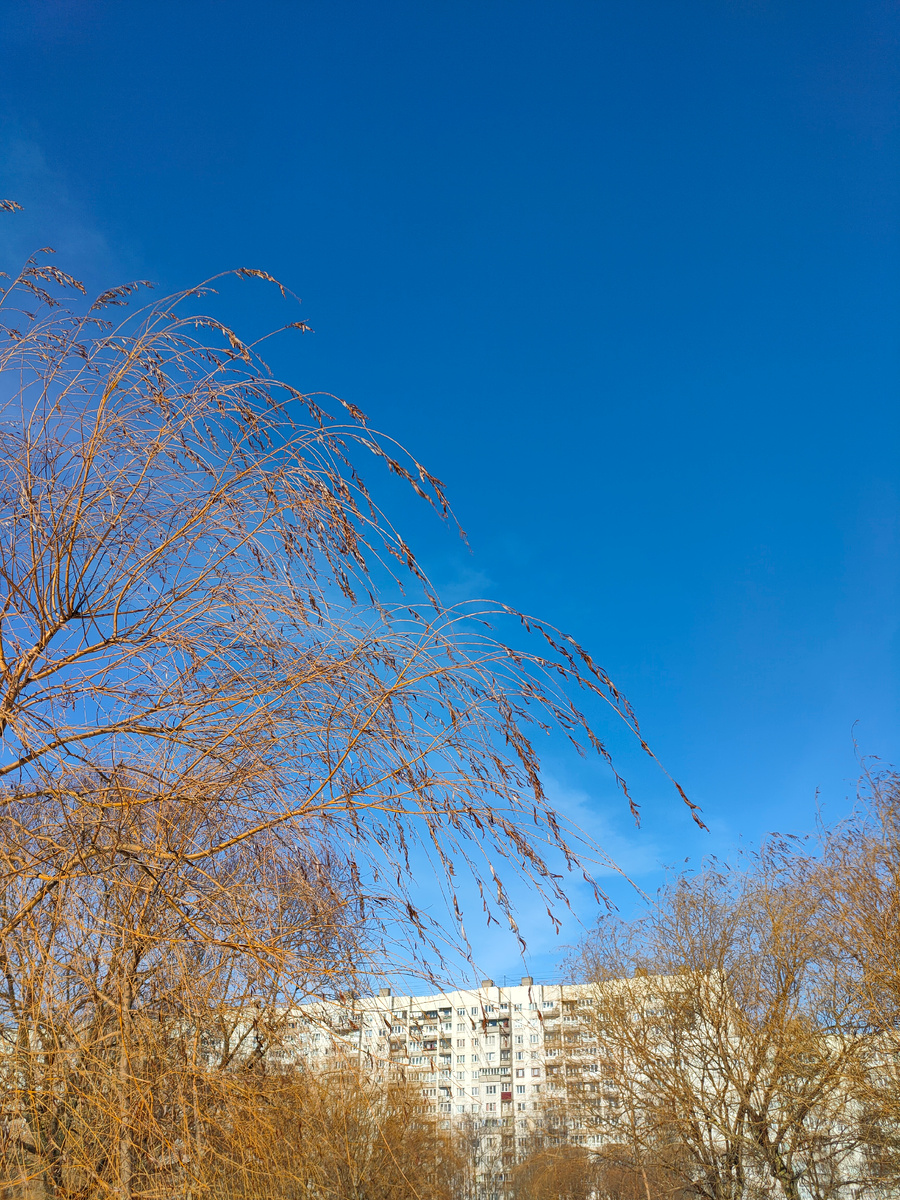 Фото автора. Визуализация погоды мечты