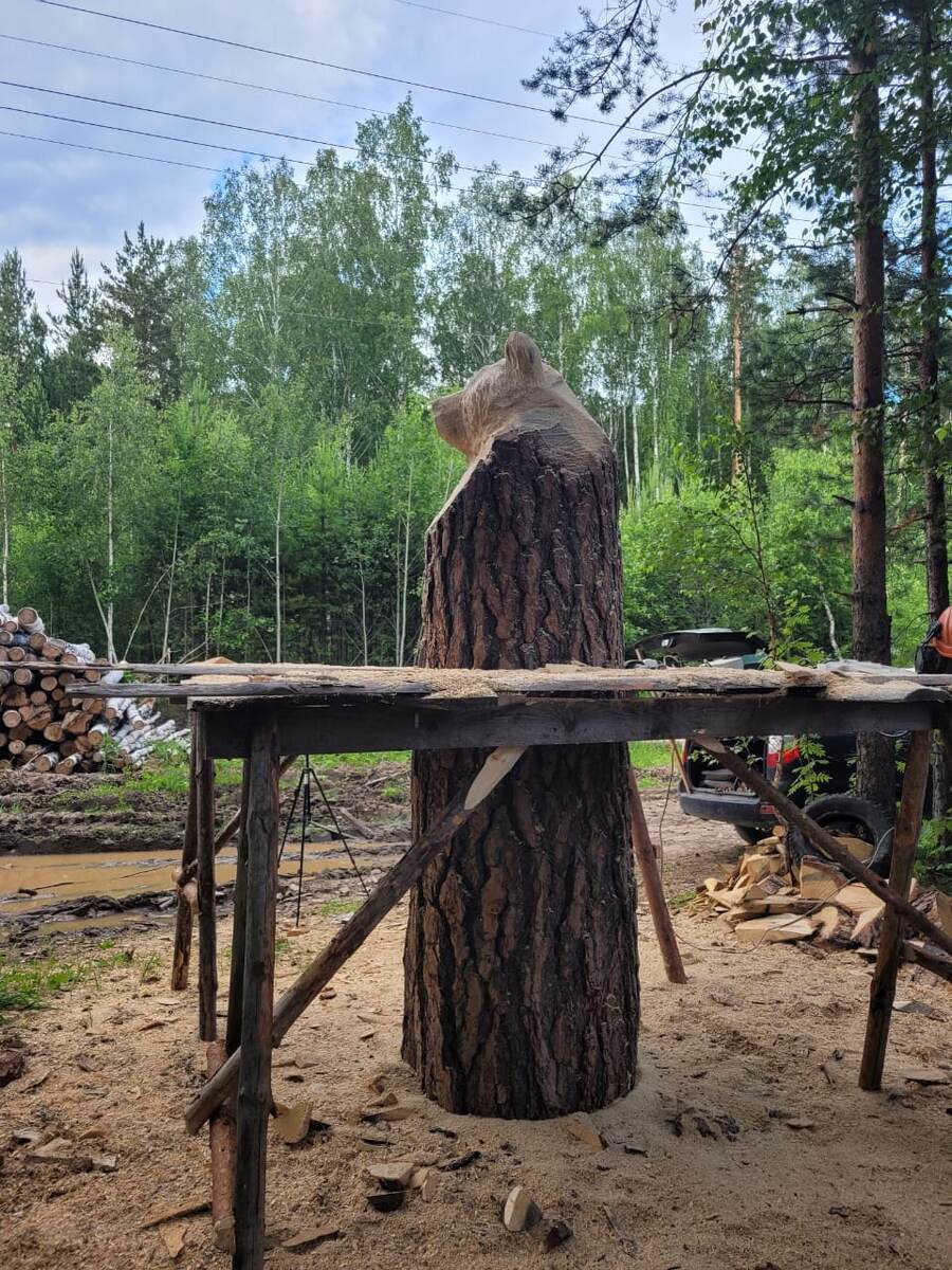 Июль 2022г.  Будущий красавец.