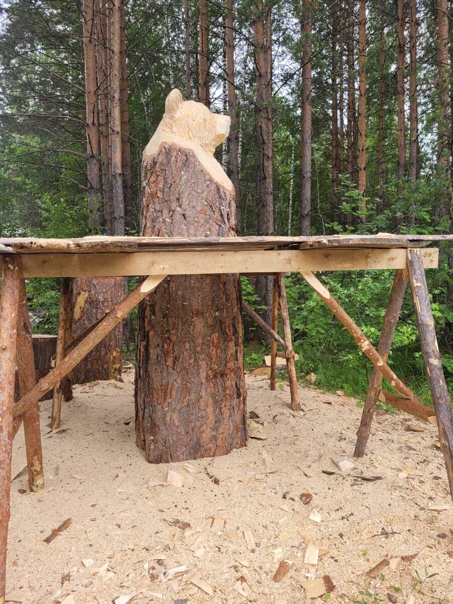 Июль 2022г.  Будущий красавец.