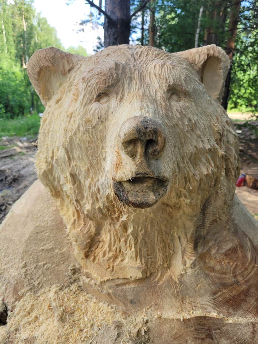 Июль 2022г.  Будущий красавец.