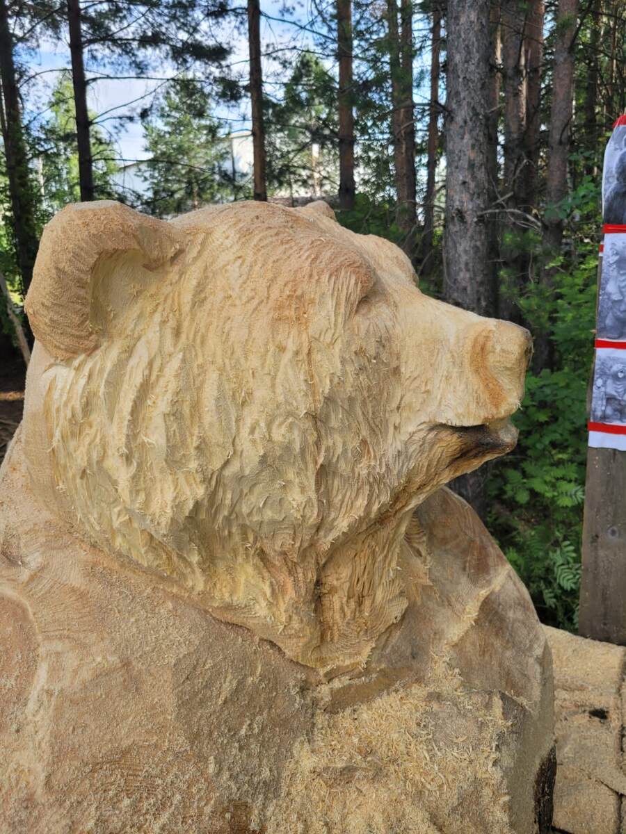 Июль 2022г.  Будущий красавец.