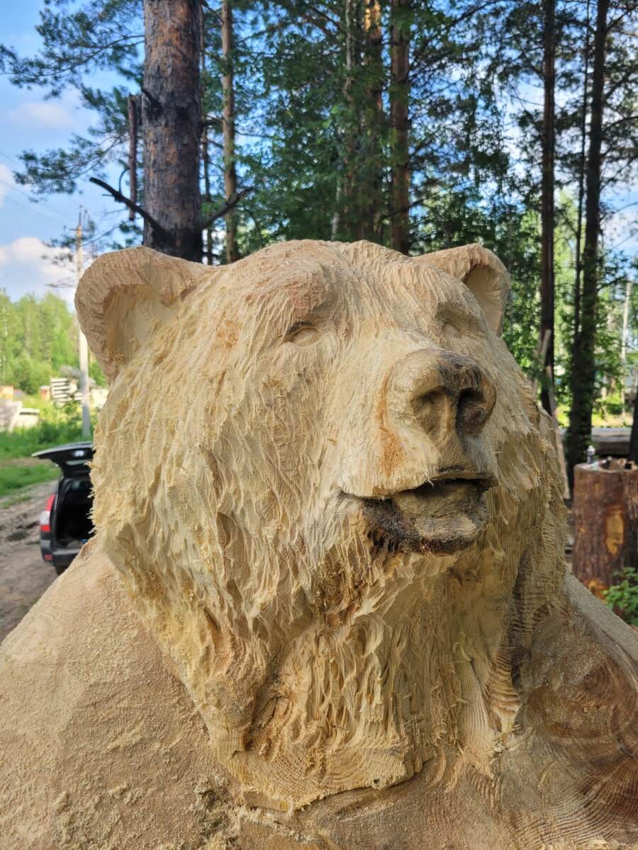 Июль 2022г.  Будущий красавец.