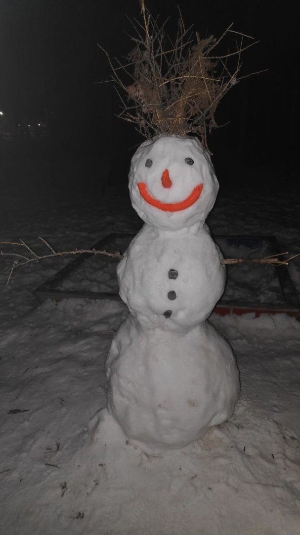 Пора заняться "снеготворчеством"! 